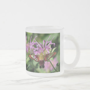 Hummingbird Moth Mok