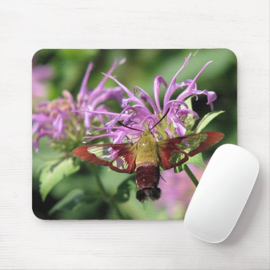 Hummingbird Moth Mousepad Muismat (Met muis)