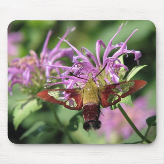 Hummingbird Moth Mousepad Muismat (Voorkant)