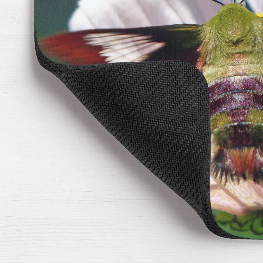 Hummingbird Moth Muismat (Hoek)