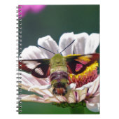 Hummingbird Moth Notitieboek (Voorkant)