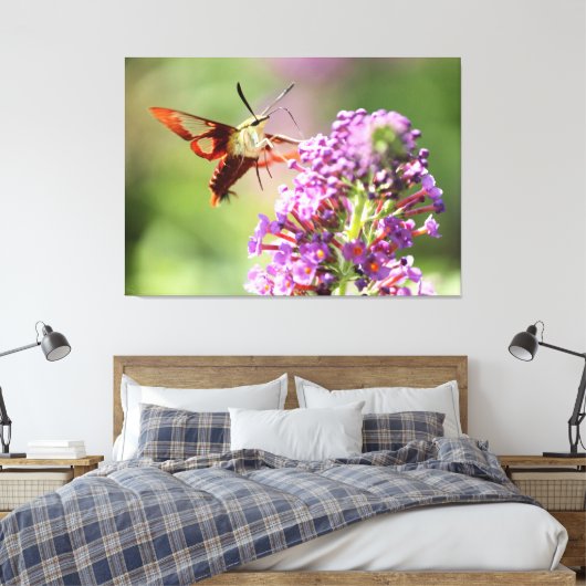 Hummingbird Moth on a Butterfly Struik Canvas Afdruk (Insitu (Slaapkamer))