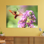 Hummingbird Moth on a Butterfly Struik Canvas Afdruk (Insitu (Woonkamer))