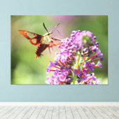 Hummingbird Moth on a Butterfly Struik Canvas Afdruk (Insitu (Houten vloer))
