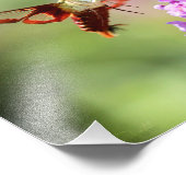 Hummingbird Moth on a Butterfly Struik Foto Afdruk (Hoek)