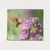 Hummingbird Moth on a Butterfly Struik Wandkleed (Voorkant (horizontaal))