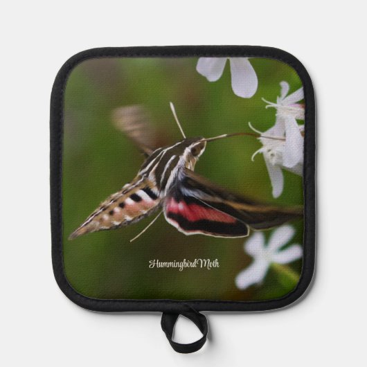 Hummingbird Moth Pannenlap (Voorkant)