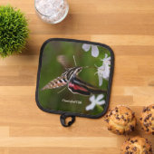Hummingbird Moth Pannenlap (Top down)