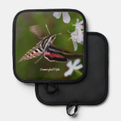 Hummingbird Moth Pannenlap (Voorkant / Achterkant)