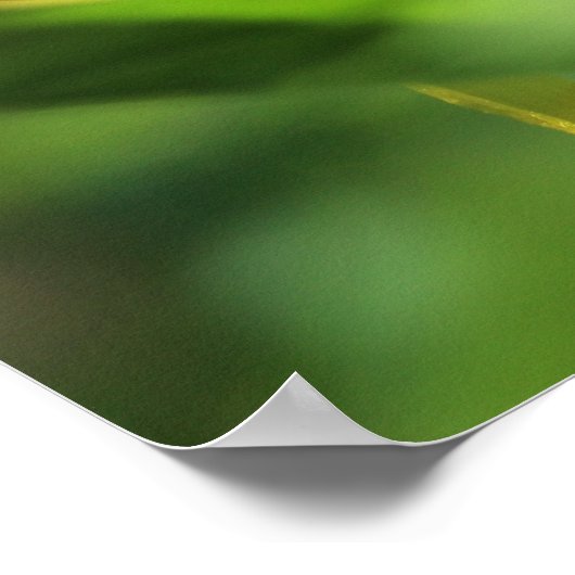 Hummingbird Moth Poster (Hoek)