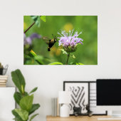 Hummingbird Moth Poster (Thuiskantoor)