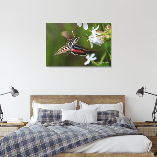 Hummingbird Moth Premium Wrapped Canvas (Insitu (Slaapkamer))