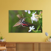 Hummingbird Moth Premium Wrapped Canvas (Insitu (Woonkamer))