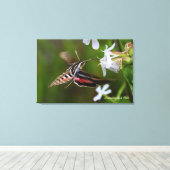 Hummingbird Moth Premium Wrapped Canvas Afdruk (Insitu (Houten vloer))
