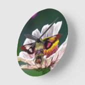 Hummingbird Moth Ronde Klok (Hoek)