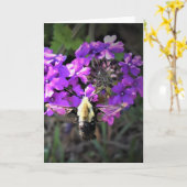 Hummingbird Moth & Verbena, kaart (Gele Bloem)