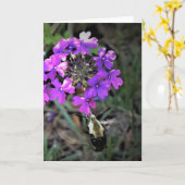 Hummingbird Moth & Verbena, kaart (Gele Bloem)