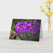 Hummingbird Moth & Verbena, kaart (Gele Bloem)