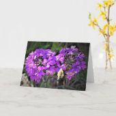 Hummingbird Moth & Verbena, kaart (Gele Bloem)
