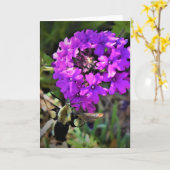 Hummingbird Moth & Verbena, kaart (Gele Bloem)