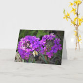 Hummingbird Moth & Verbena, kaart (Gele Bloem)