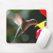Hummingbird, mousepad muismat (Met muis)