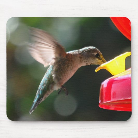 Hummingbird, mousepad muismat (Voorkant)
