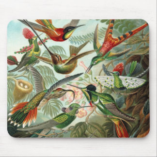 Hummingbird Mousepad Muismat