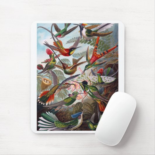 Hummingbird Muismat (Met muis)