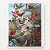 Hummingbird Muismat (Voorkant)