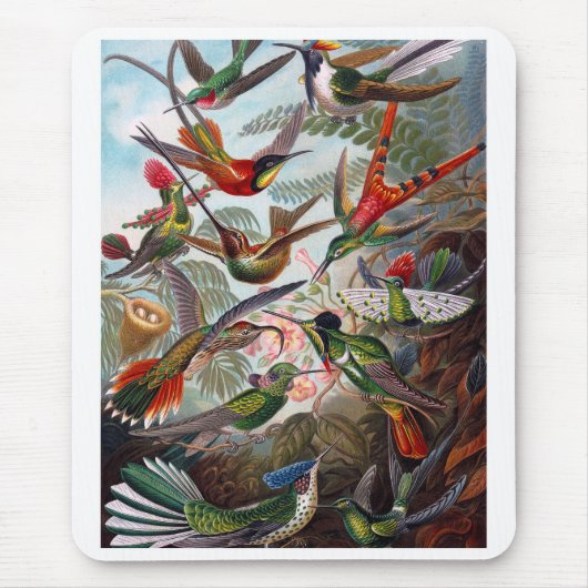 Hummingbird Muismat (Voorkant)