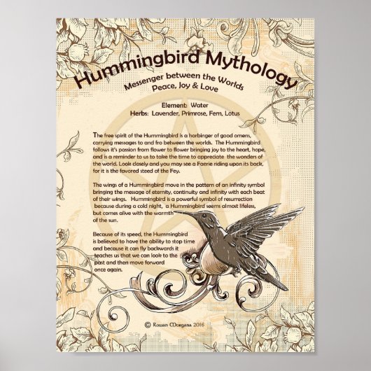 HUMMINGBIRD MYTHOLOGY POSTER (Voorkant)