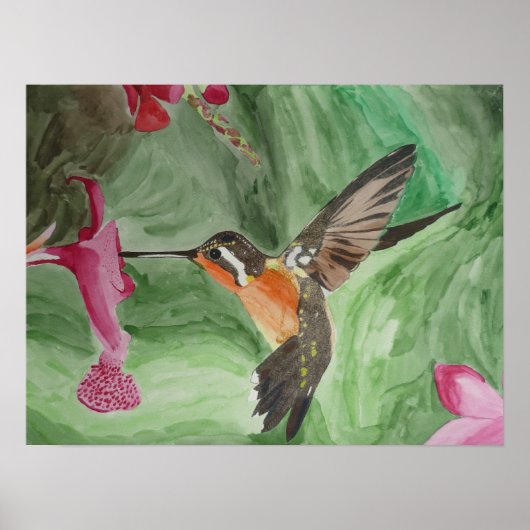 Hummingbird Nectar Poster (Voorkant)