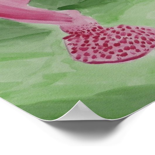 Hummingbird Nectar Poster (Hoek)