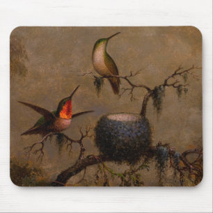 Hummingbird neest Victoriaans hekschilderij Muismat