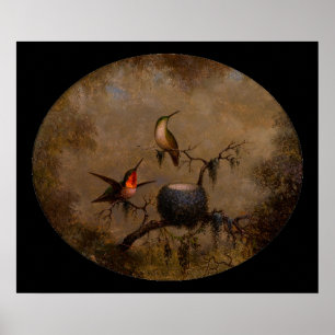Hummingbird neest Victoriaans hekschilderij Poster