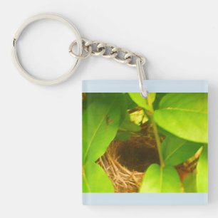 Hummingbird Nest Blue Acryllic Sleutelhanger