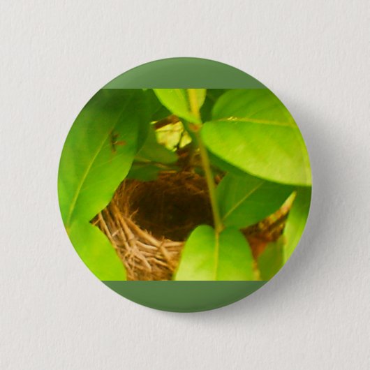 Hummingbird Nest Nestled in Honeysuckles Button (Voorkant)