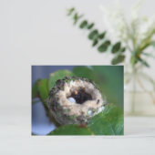 Hummingbird Nest Photography Briefkaart (Staand voorkant)