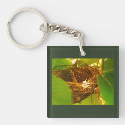Hummingbird Nest Sleutelhanger (Voorkant)