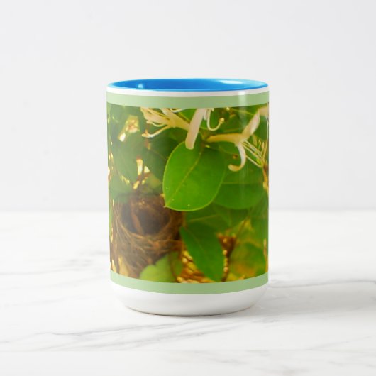 Hummingbird Nest Tweekleurige Koffiemok (Center)