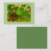 Hummingbird Nest Visitekaartje (Voorkant / Achterkant)