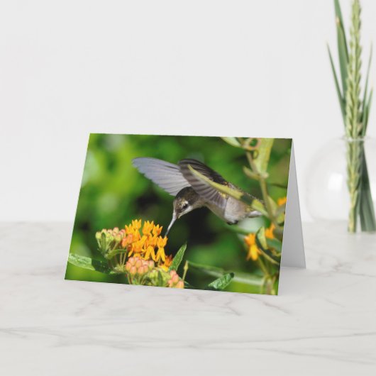 Hummingbird Nieuwjaar Feestdagen Kaart (Voorkant)