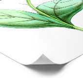 Hummingbird No.3 Antiek Natural History Print. Poster (Hoek)