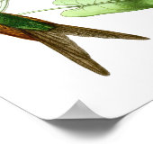 Hummingbird No.4 Antiek Natural History Print. Poster (Hoek)