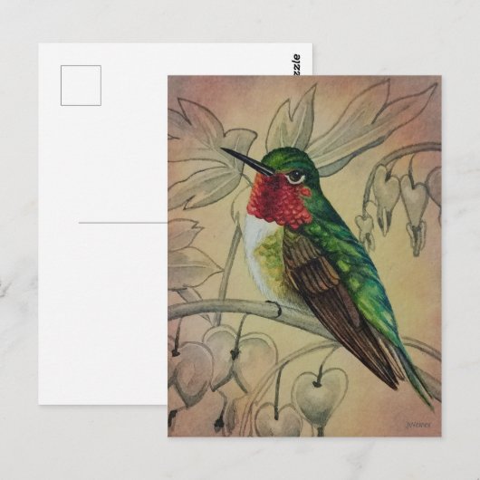  Hummingbird No. 4 Waterverf Art. Briefkaart (Voorkant / Achterkant)