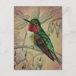  Hummingbird No. 4 Waterverf Art. Briefkaart