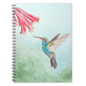 Hummingbird notebook notitieboek (Voorkant)