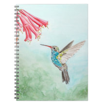 Hummingbird notebook