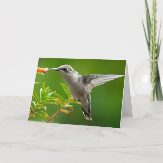 Hummingbird Notecard Bedankkaart (Voorkant)